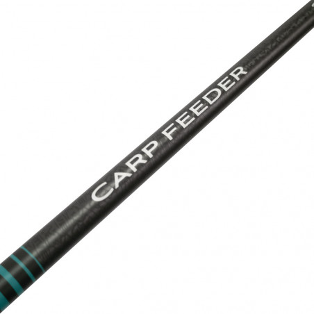 CANNE CARP FEEDER2008