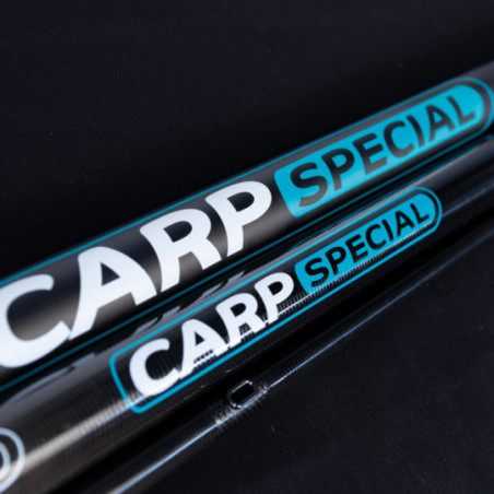 CANNE R-CARP SPECIAL 9.50M648